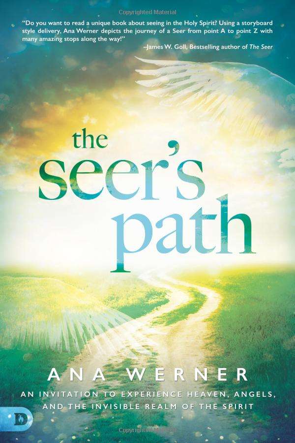 The Seer's Path book cover