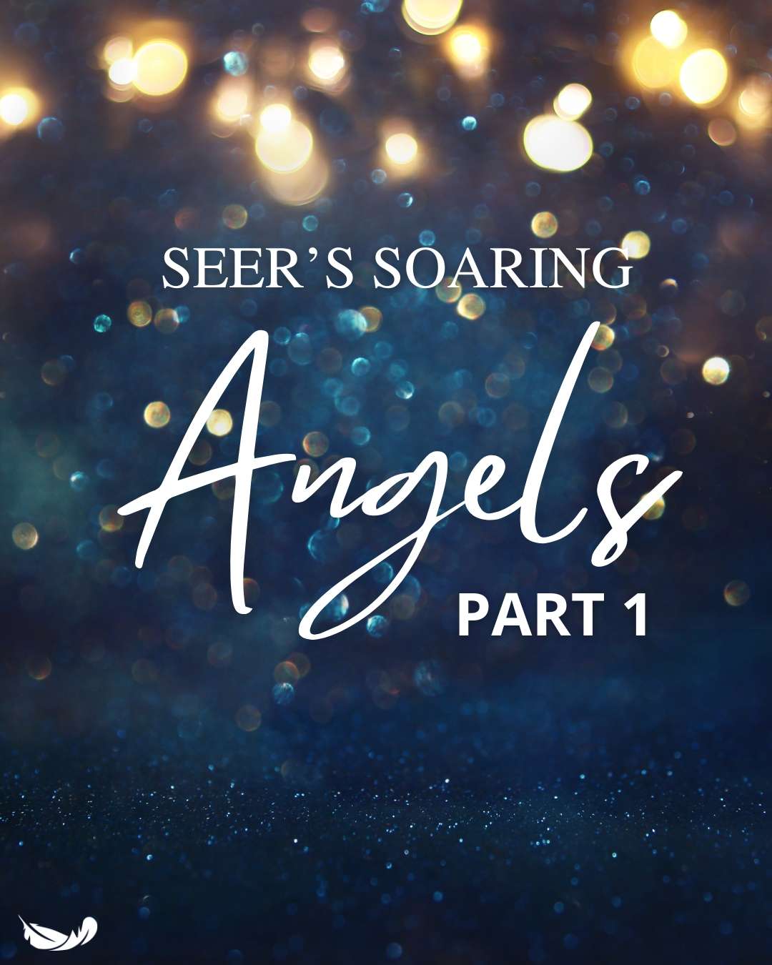 Seer's Soaring LIVE Q&A | Dec 2024