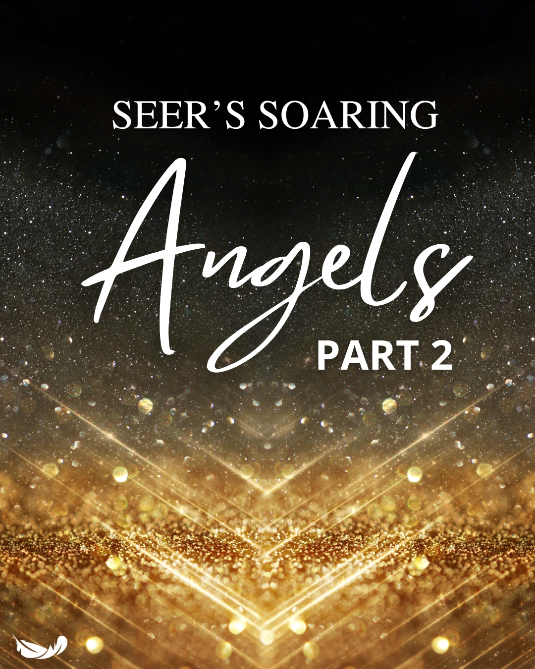 Seer's Soaring LIVE Q&A | January 2024