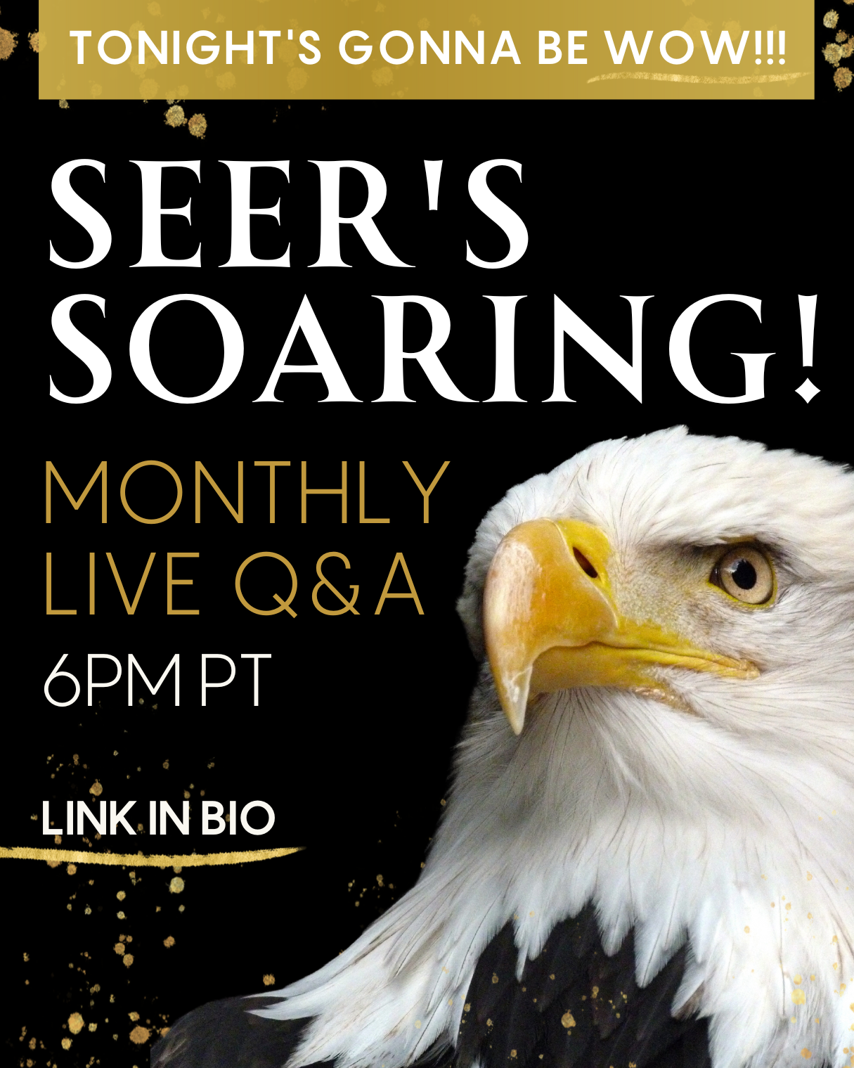 Seers Soaring